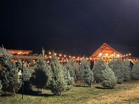 Pavilion with Trees at Distance