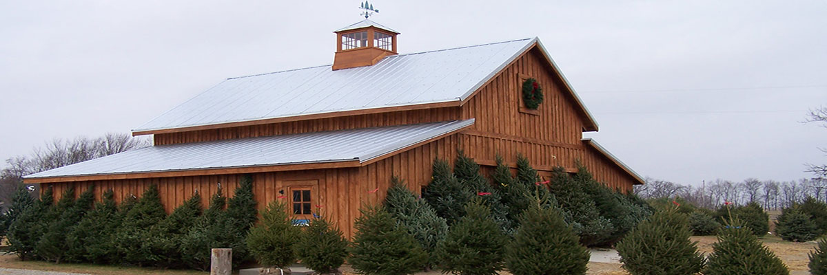 barn_trees.jpg